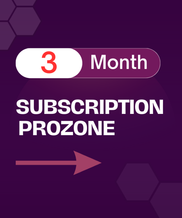 3 month subscription