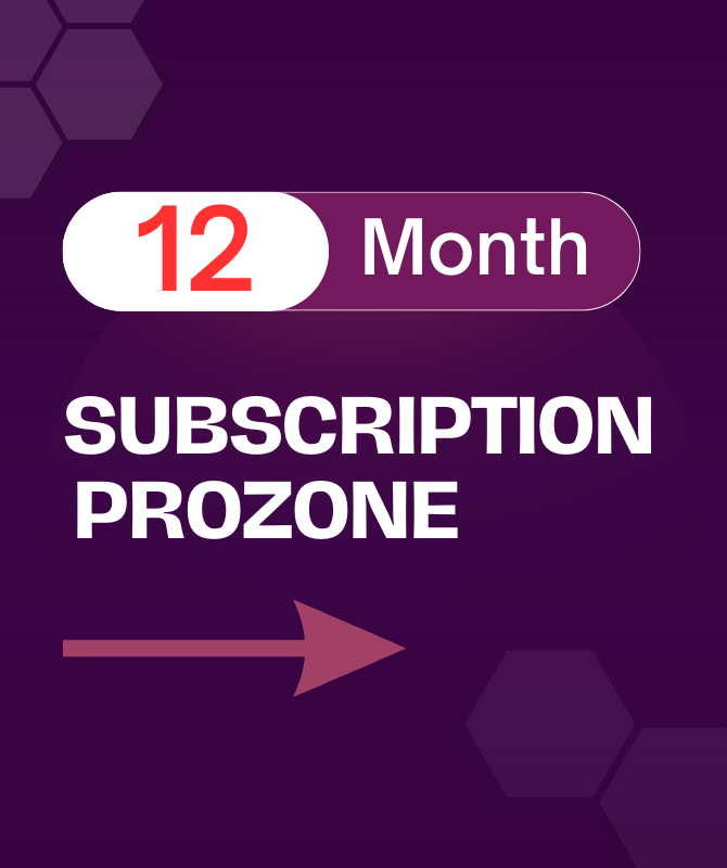 12 month subscription